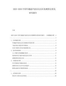 2025-2030中國車載超聲波雷達(dá)盲區(qū)監(jiān)測算法優(yōu)化研究報告