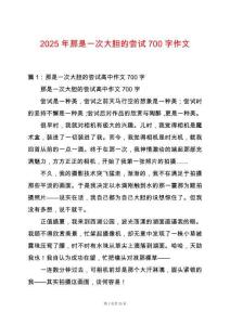 2025年那是一次大膽的嘗試700字作文
