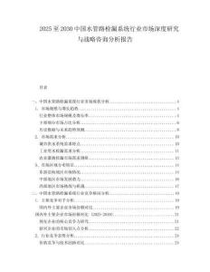 2025至2030中國(guó)水管路檢漏系統(tǒng)行業(yè)市場(chǎng)深度研究與戰(zhàn)略咨詢分析報(bào)告