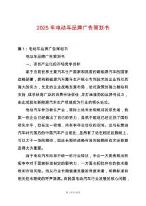 2025年電動車品牌廣告策劃書