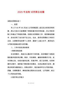 2025年選購-試用期總結(jié)篇
