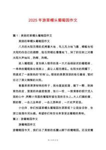 2025年游草帽頭葡萄園作文