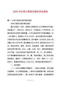 2025年水利工程受災(zāi)相關(guān)狀況報(bào)告