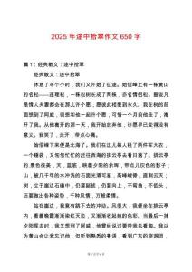 2025年途中拾翠作文650字