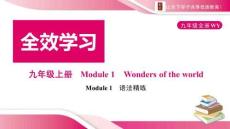 Module 1　語法精練