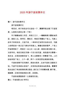 2025年游寧波夜景作文