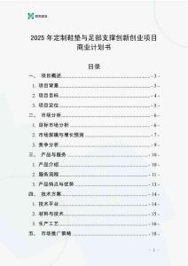 2025年定制鞋墊與足部支撐創新創業項目商業計劃書