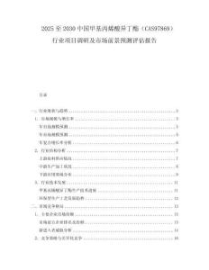 2025至2030中國甲基丙烯酸異丁酯（CAS97869）行業項目調研及市場前景預測評估報告