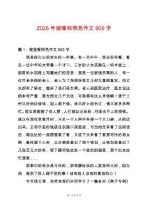 2025年被暖和照亮作文800字