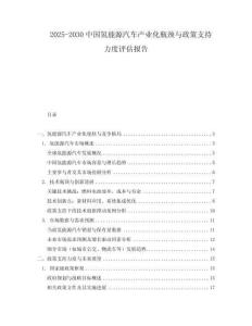 2025-2030中國氫能源汽車產業化瓶頸與政策支持力度評估報告