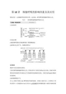 2026高中生物練習(xí)（含解析）第2單元  第12講　細(xì)胞呼吸的影響因素及其應(yīng)用