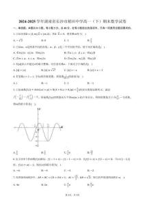 2024-2025學(xué)年湖南省長沙市稻田中學(xué)高一（下）期末數(shù)學(xué)試卷（含答案）