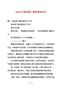2025年誰采擷了愛的青絲作文
