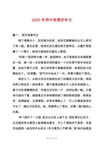 2025年雨中觀景的作文