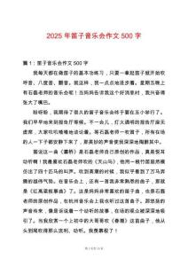 2025年笛子音樂會作文500字