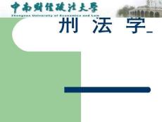 《刑法學(xué)》