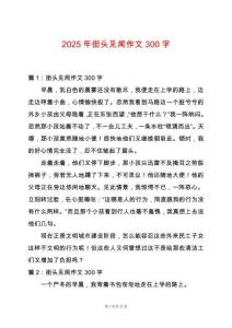 2025年街頭見聞作文300字