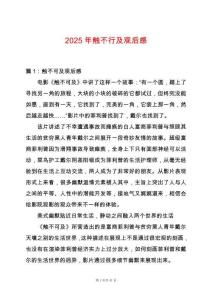 2025年觸不行及觀后感