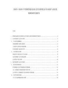 2025-2030中國跨境電商支付系統安全風險與防范策略研究報告