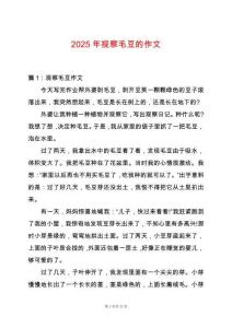 2025年視察毛豆的作文