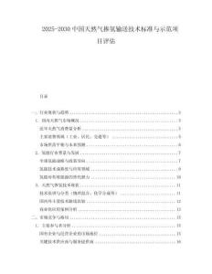2025-2030中國天然氣摻氫輸送技術標準與示范項目評估