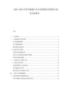 2025-2030中國節能閥門在石化領域應用現狀與前景分析報告