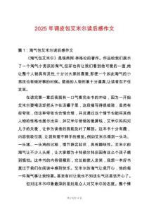 2025年調(diào)皮包艾米爾讀后感作文