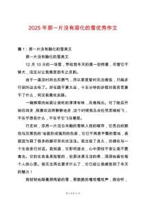 2025年那一片沒(méi)有溶化的雪優(yōu)秀作文