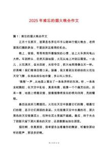 2025年難忘的煙火晚會作文