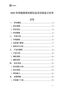 2025年烤箱維修創新創業項目商業計劃書