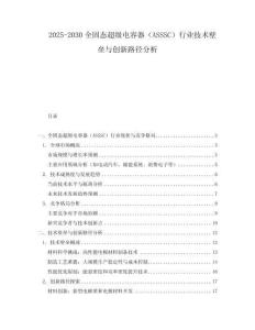 2025-2030全固態(tài)超級(jí)電容器（ASSSC）行業(yè)技術(shù)壁壘與創(chuàng)新路徑分析