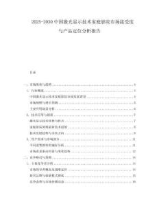 2025-2030中國激光顯示技術家庭影院市場接受度與產品定位分析報告