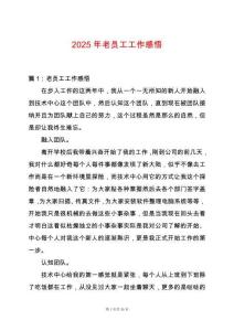 2025年老員工工作感悟