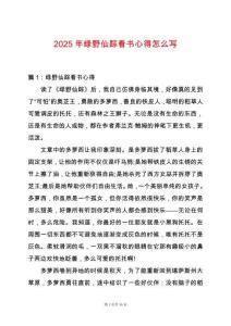 2025年綠野仙蹤看書心得怎么寫