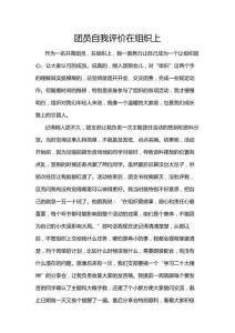 團(tuán)員自我評價(jià)在組織上