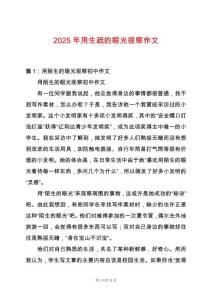 2025年用生疏的眼光視察作文