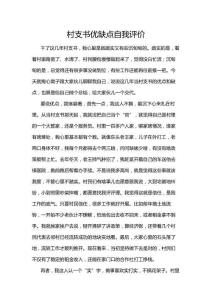 村支書優缺點自我評價