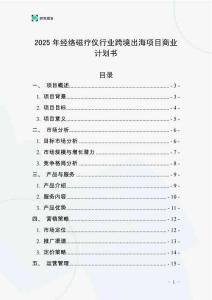 2025年經(jīng)絡(luò)磁療儀行業(yè)跨境出海項(xiàng)目商業(yè)計(jì)劃書