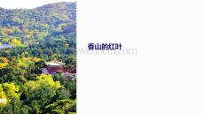 香山的紅葉教學課件