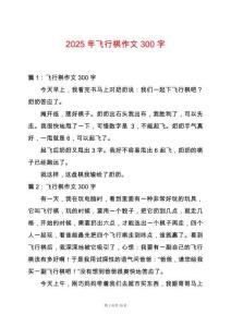2025年飛行棋作文300字