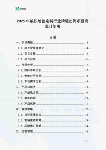 2025年編織地毯定制行業跨境出海項目商業計劃書