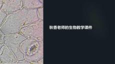 秋香老師的生物教學課件