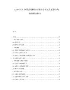 2025-2030中國引線框架市場細分領域發展潛力與投資機會報告