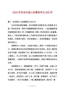 2025年來自生疏人的暖和作文600字