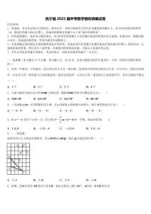 撫寧縣2025屆中考數學模擬精編試卷含解析