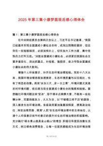 2025年第三集小康夢圓觀后感心得體會