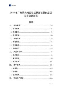 2025年廣角鏡頭畸變校正算法創新創業項目商業計劃書