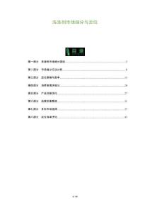 洗滌劑市場細(xì)分與定位-洞察及研究