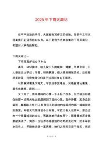 2025年下雨天周記