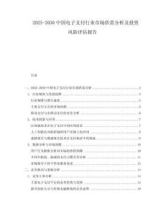 2025-2030中國(guó)電子支付行業(yè)市場(chǎng)供需分析及投資風(fēng)險(xiǎn)評(píng)估報(bào)告